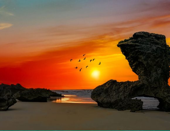 June Newsletter