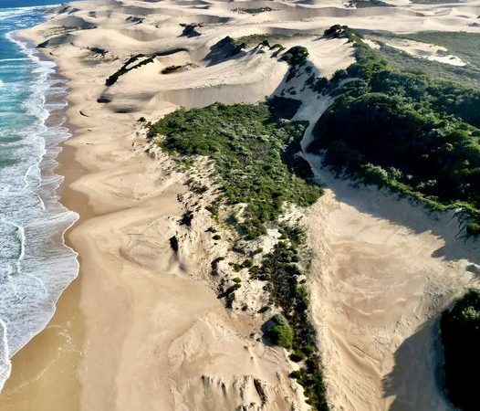 Woody Cape & the Alexandria Dunefields, Sunshine Coast ZA