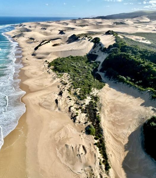Woody Cape & the Alexandria Dunefields, Sunshine Coast ZA