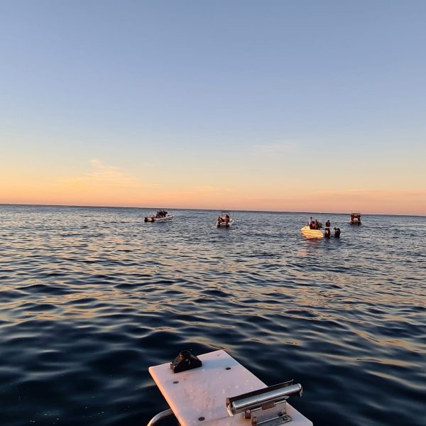 Drop a line, stay a while – fishing along the Sunshine Coast
